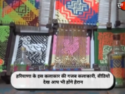 हरियाणा के इस कलाकार की गजब कलाकारी, तस्वीरें देख आप भी होंगे हैरान