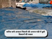 बारिश बनी आफत! भिवानी की अनाज मंडी में डूबी किसानों की फसल