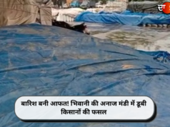 बारिश बनी आफत! भिवानी की अनाज मंडी में डूबी किसानों की फसल