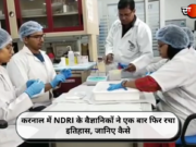 करनाल में NDRI के वैज्ञानिकों ने एक बार फिर रचा इतिहास, जानिए कैसे
