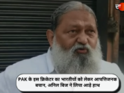 PAK के इस क्रिकेटर का भारतीयों को लेकर आपत्तिजनक बयान, अनिल विज ने लिया आड़े हाथ