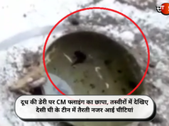 दूध की डेरी पर CM फ्लाइंग का छापा, तस्वीरों में देखिए देसी घी के टीन में तैरती नजर आई चीटियां