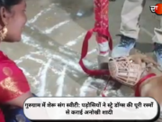 गुरुग्राम में शेरू संग स्वीटी: पड़ोसियों ने स्ट्रे डॉग्स की पूरी रस्मों से कराई अनोखी शादी (देखें तस्वीरें)