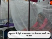 यमुनानगर में डेंगू ने बरपाया कहर, 587 केस आए सामने, एक की मौत