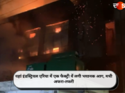 यहां इंडस्ट्रियल एरिया में एक फैक्ट्री में लगी भयानक आग, मची अफरा-तफरी