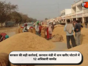 सरकार की बड़ी कार्रवाई, करनाल मंडी में धान खरीद घोटाले में 12 अधिकारी सस्पेंड