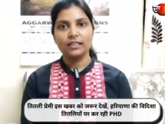 तितली प्रेमी इस खबर को जरूर देखें, हरियाणा की विदिशा तितलियों पर कर रही PHD