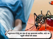 यमुनानगर में डेंगू का डंक हो रहा खतरनाक साबित, 401 पर पहुंची मरीजों की संख्या