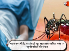 यमुनानगर में डेंगू का डंक हो रहा खतरनाक साबित, 401 पर पहुंची मरीजों की संख्या