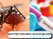 गुरुग्राम में डेंगू ने मचाया कोहराम, 422 पार कर चुका आंकड़ा
