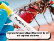 यमुनानगर में डेंगू के साथ चिकनगुनिया ने पसारे पैर, 587 केस आए सामने, एक की मौत