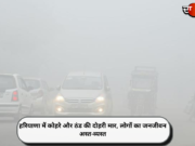 हरियाणा में कोहरे और ठंड की दोहरी मार, लोगों का जनजीवन अस्त-व्यस्त