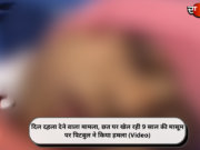 दिल दहला देने वाला मामला, छत पर खेल रही 9 साल की मासूम पर पिटबुल ने किया हमला (Video)