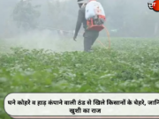 घने कोहरे व हाड़ कंपाने वाली ठंड से खिले किसानों के चेहरे, जानिए खुशी का राज