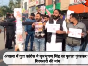 अंबाला में युवा कांग्रेस ने बृजभूषण सिंह का पुतला फूंककर की गिरफ्तारी की मांग