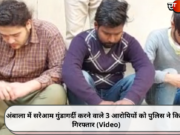 अंबाला में सरेआम गुंडागर्दी करने वाले 3 आरोपियों को पुलिस ने किया गिरफ्तार (Video)