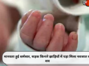 मानवता हुई शर्मसार, सड़क किनारे झाड़ियों में पड़ा मिला नवजात का शव