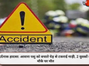 दर्दनाक हादसा: आवारा पशु को बचाते पेड़ से टकराई गाड़ी, 2 युवकों की मौके पर मौत