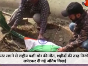 करंट लगने से राष्ट्रीय पक्षी मोर की मौत, शहीदों की तरह तिरंगे में लपेटकर दी गई अंतिम विदाई