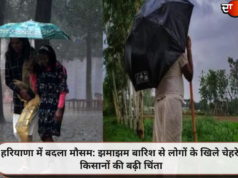 हरियाणा में बदला मौसम: झमाझम बारिश से लोगों के खिले चेहरे, किसानों की बढ़ी चिंता