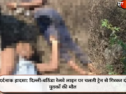 दर्दनाक हादसा: दिल्ली-बठिंडा रेलवे लाइन पर चलती ट्रेन से गिरकर दो युवकों की मौत