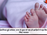 इंसानियत हुई शर्मसार: जन्म के कुछ घंटे बाद ही झाड़ियों में पड़ा मिला जिंदा नवजात