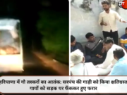 हरियाणा में गौ तस्करों का आतंक: सरपंच की गाड़ी को किया क्षतिग्रस्त, गायों को सड़क पर फेंककर हुए फरार