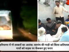 हरियाणा में गौ तस्करों का आतंक: सरपंच की गाड़ी को किया क्षतिग्रस्त, गायों को सड़क पर फेंककर हुए फरार