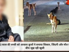 3 साल की बच्ची को आवारा कुत्तों ने बनाया शिकार, जिंदगी और मौत के बीच जूझ रही खुशी