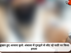 खूंखार हुए आवारा कुत्ते: अंबाला में गुरुद्वारे से लौट रहे पाठी पर किया हमला