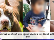 रोंगटे खड़े कर देने वाली घटना, खूंखार Pitbull ने 4 साल की बच्ची पर किया हमला