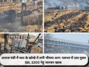 अनाज मंडी में चाय के खोखे में लगी भीषण आग: पलभर में उठा गुबार उठा, 3200 गेहूं जलकर खाक