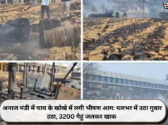 अनाज मंडी में चाय के खोखे में लगी भीषण आग: पलभर में उठा गुबार उठा, 3200 गेहूं जलकर खाक