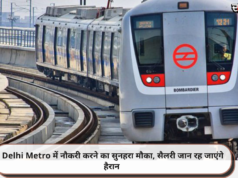 Delhi Metro में नौकरी करने का सुनहरा मौका, सैलरी जान रह जाएंगे हैरान