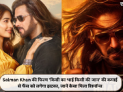 Salman Khan की फिल्म ‘किसी का भाई किसी की जान’ की कमाई से फैंस को लगेगा झटका, जानें कैसा मिला रिस्पॉन्स