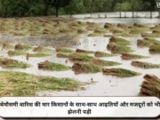 बेमौसमी बारिश की मार किसानों के साथ-साथ आढ़तियों और मजदूरों को भी झेलनी पड़ी