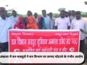 अंबाला में वन मजदूरों ने वन विभाग पर लगाए घोटाले के गंभीर आरोप