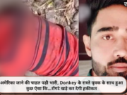 अमेरिका जाने की चाहत पड़ी भारी, Donkey के रास्ते युवक के साथ हुआ कुछ ऐसा कि…रोंगटे खड़े कर देगी हकीकत