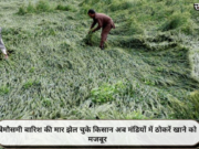 बेमौसमी बारिश की मार झेल चुके किसान अब मंडियों में ठोकरें खाने को मजबूर