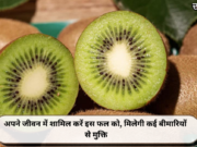 अपने जीवन में शामिल करें इस फल को, मिलेगी कई बीमारियों से मुक्ति