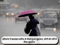 हरियाणा में झमाझम बारिश से मौसम हुआ सुहावना, लोगों को गर्मी से मिला छुटकारा