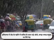 हरियाणा में जेठ के महीने में बारिश के साथ पड़े ओले, जगह-जगह सड़क पर गिरे पेड़