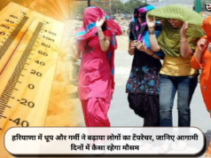 हरियाणा में धूप और गर्मी ने बढ़ाया लोगों का टेंपरेचर, जानिए आगामी दिनों में कैसा रहेगा मौसम