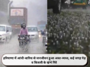 हरियाणा में आंधी-बारिश से जनजीवन हुआ अस्त-व्यस्त, कई जगह पेड़ व बिजली के खंभे गिरे