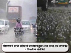 हरियाणा में आंधी-बारिश से जनजीवन हुआ अस्त-व्यस्त, कई जगह पेड़ व बिजली के खंभे गिरे
