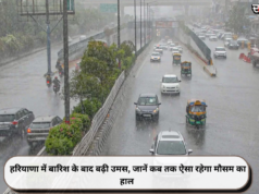 हरियाणा में बारिश के बाद बढ़ी उमस, जानें कब तक ऐसा रहेगा मौसम का हाल