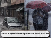 हरियाणा के कई जिलों में बारिश से हुआ जलभराव, किसानों के चेहरे खिले