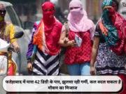 फतेहाबाद में पारा 42 डिग्री के पार, झुलसा रही गर्मी, कल बदल सकता है मौसम का मिजाज