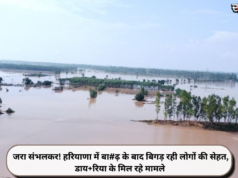जरा संभलकर! हरियाणा में बा#ढ़ के बाद बिगड़ रही लोगों की सेहत, डाय+रिया के मिल रहे मामले