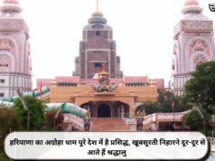 हरियाणा का अग्रोहा धाम पूरे देश में है प्रसिद्ध, खूबसूरती निहारने दूर-दूर से आते हैं श्रद्धालु